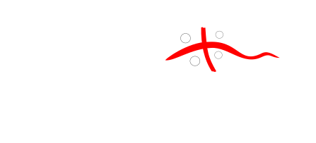 bandb-casa-nira-sardegna-valledoria-logo-bianco